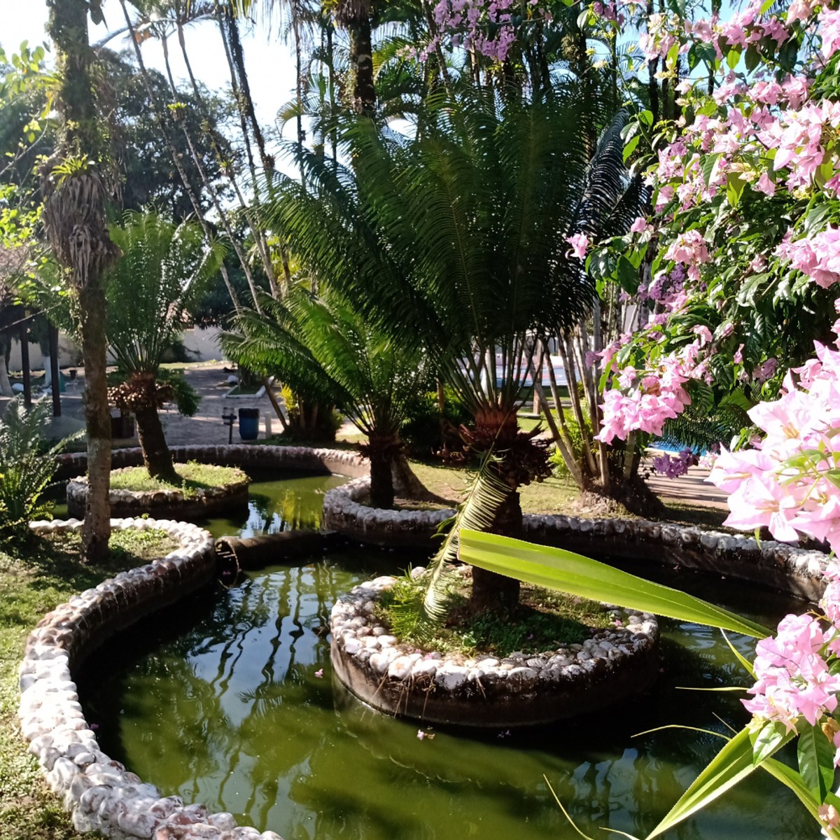 Jardim com lago e flores em estrutura parceira