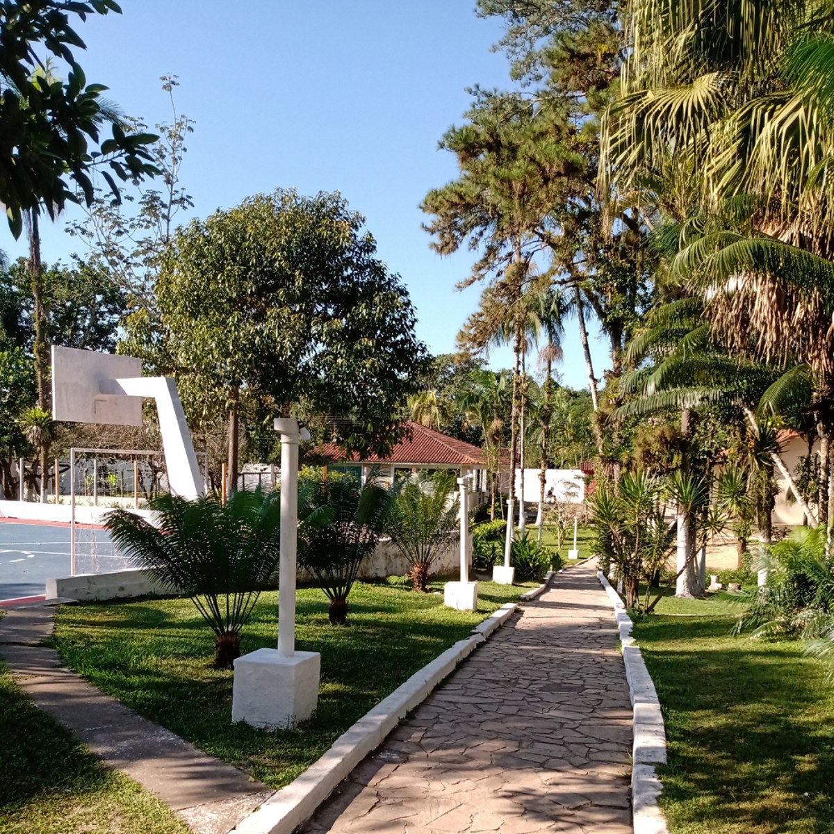 Caminho arborizado e jardins de estrutura parceira