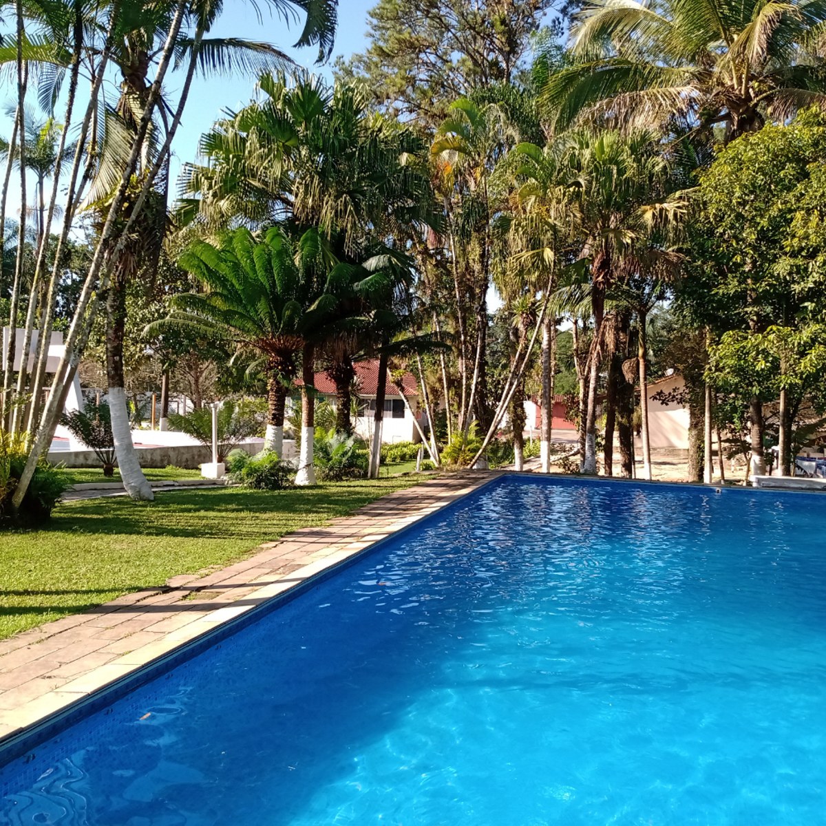 Piscina e área verde de estrutura parceira